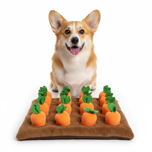Carrot Farm Snuffle Mat